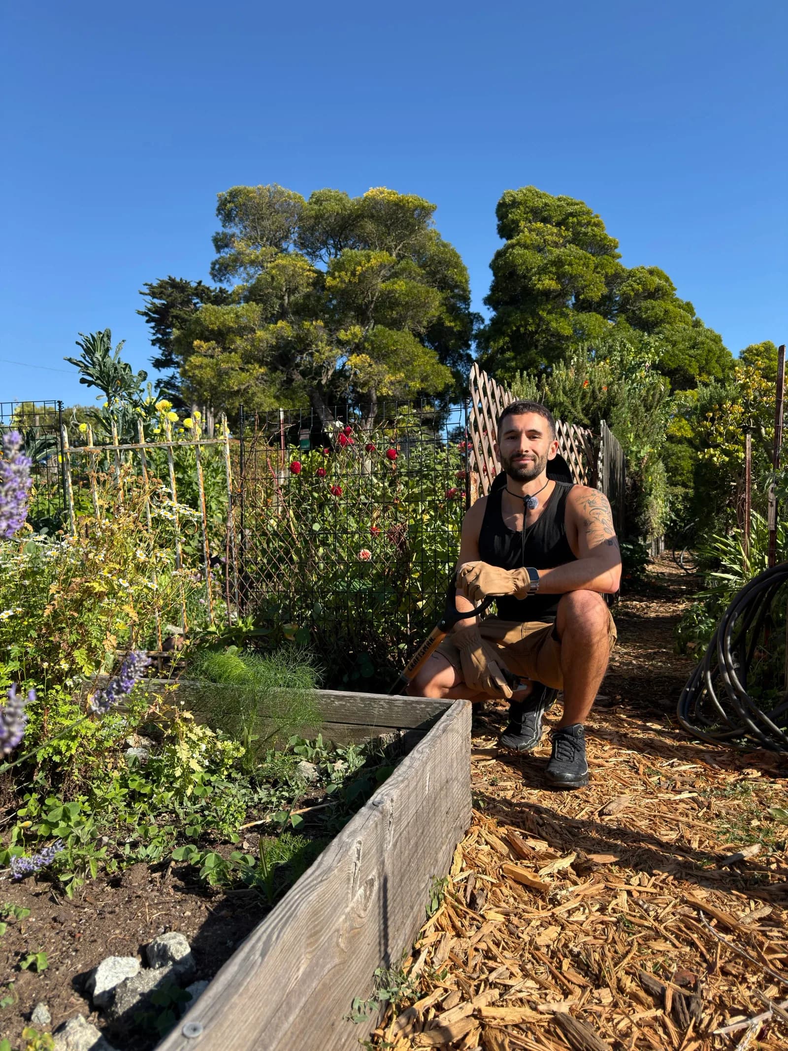 Securing a Coveted Spot in San Francisco’s Community Gardens
